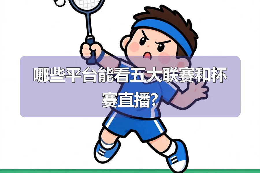 哪些平台能看五大联赛和杯赛直播?